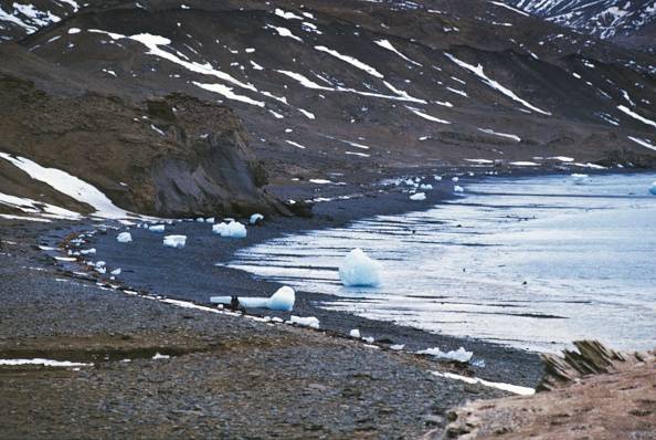 Warmer oceanic water causes Antarctic's Glacier melting rapidly: Scientists