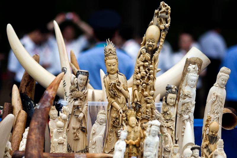 China announces to ban ivory trade from next year
