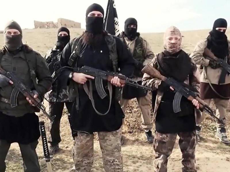 Denmark to stop benefit to ISIS terrorists