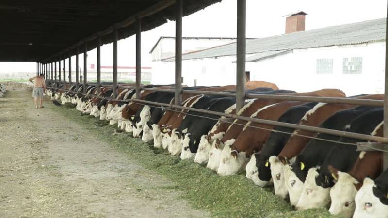 Belarus showing willingness to export dairy products to Pakistan