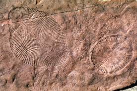 Life was on Earth 4 billion years ago, fossil research