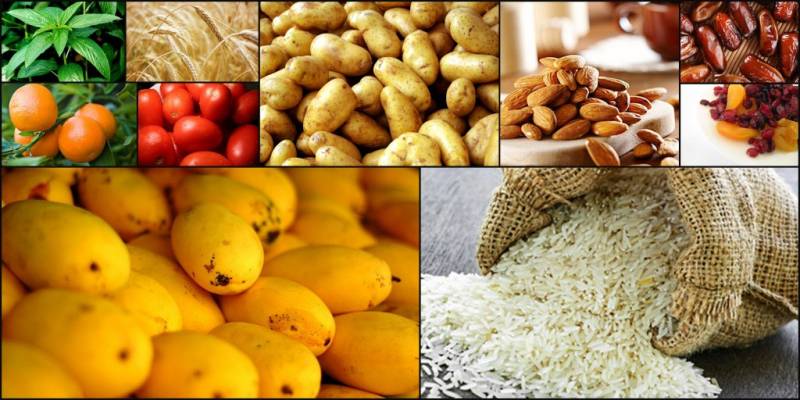USAID helps promote Pakistani agricultural exports