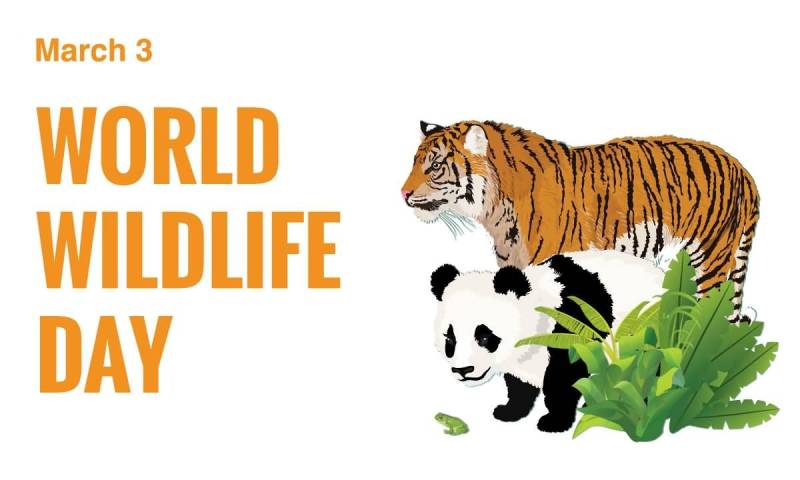 World Wildlife Day being observed today