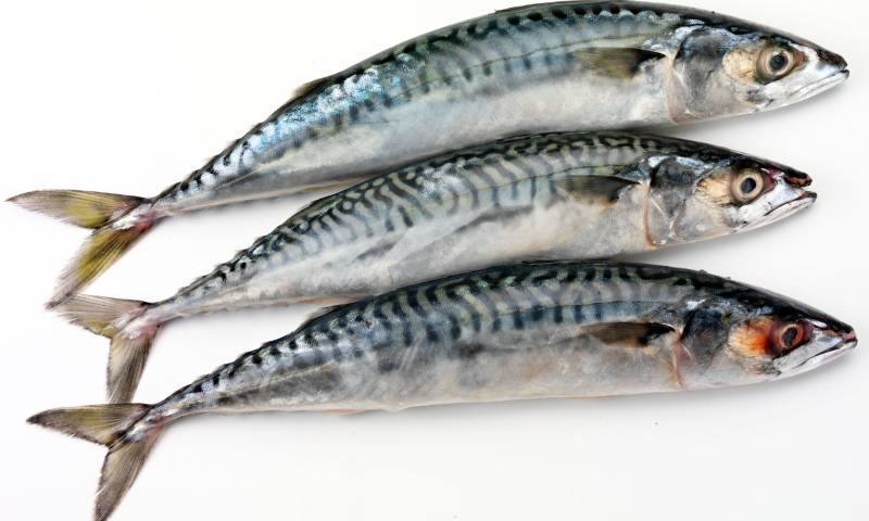 Omega-3 can treat damage caused by air pollution 