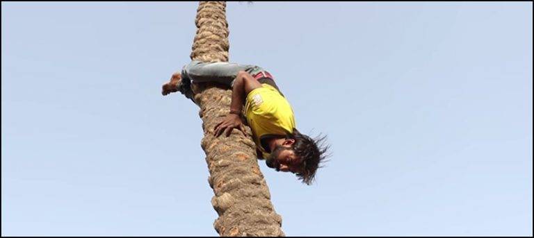 Watch: Man’s skill to climb trees backwards