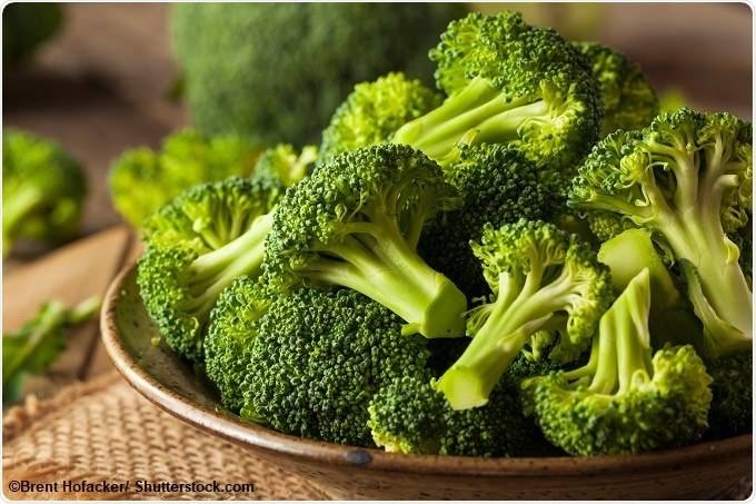 Broccoli sprout can treat type 2 diabetes