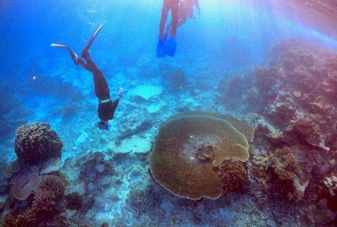 UNESCO excludes Great Barrier Reef from 