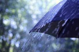 Heavy rain shower with thunderstorm expected