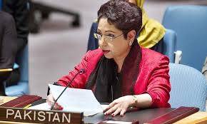 Pakistan urges international community to resolve Kashmir, Palestine disputes