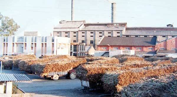 LHC declares shifting of Sharif family’s sugar mills illegal
