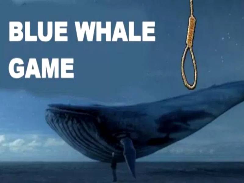 Pakistani youngster develops anti-Blue Whale Game