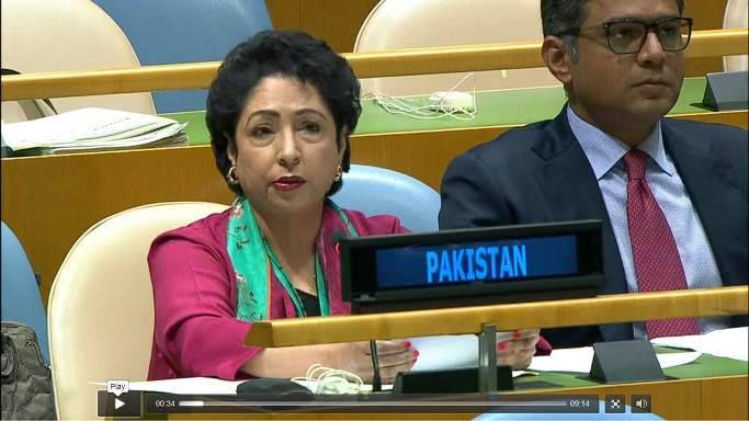 India is mother of all terrorism in South Asia not Pakistan, Pakistan tells world leaders
