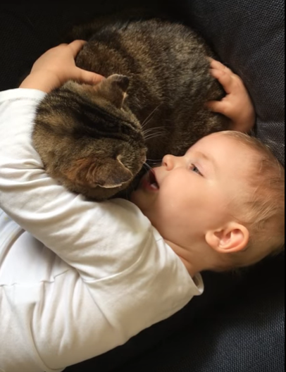 Watch: toddler shares secret with cat