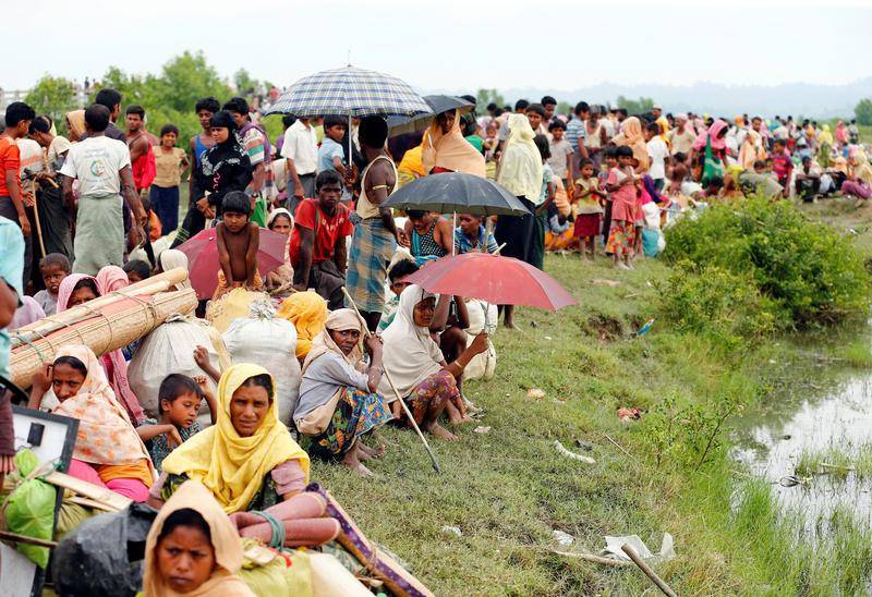 Returning Rohingya may lose land, crops under Myanmar plans