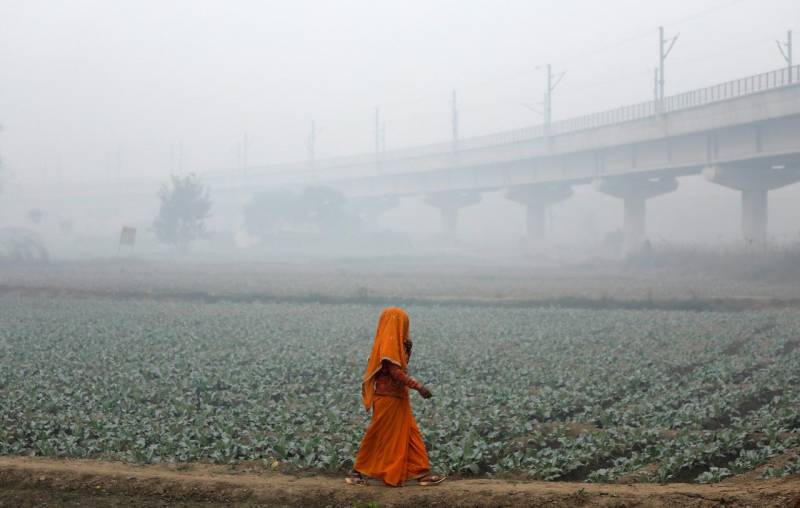 Smog chokes Indian capital as emergency measures fail to bring relief