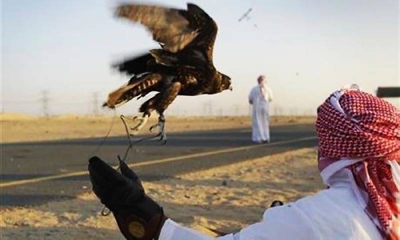 Petition submitted to prevent Qatari prince from hunting in Pakistan