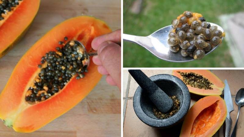 Surprising health benefits of Papaya Seeds