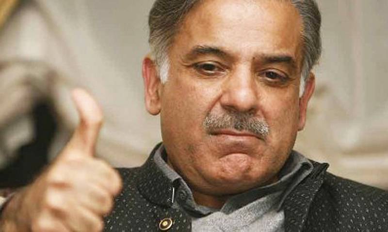 CM Shehbaz to be made acting PML-N president