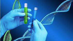 Dubai plans DNA test of entire population