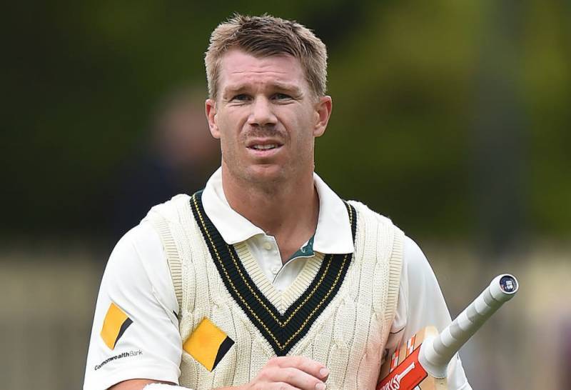 David Warner apologises to fans for his role in ball tampering