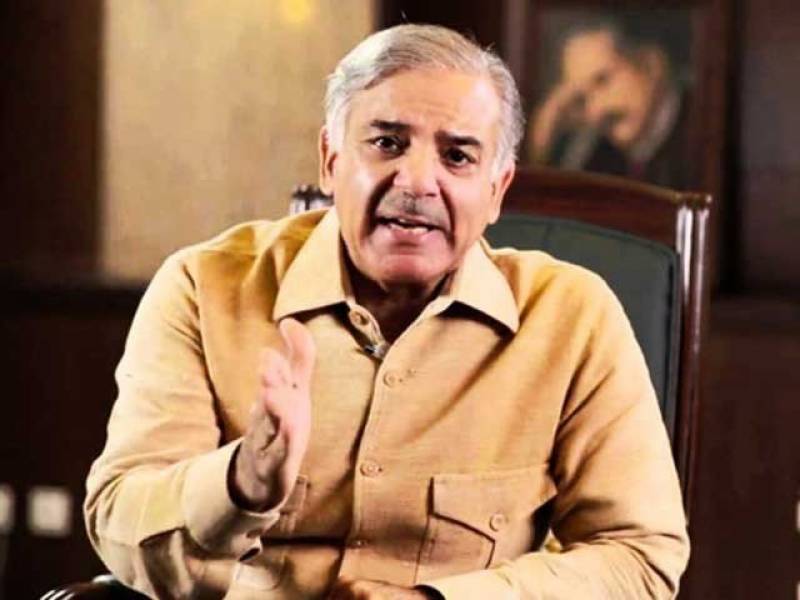 Indian envoy cancels Lahore trip after Shehbaz turns down his request to meet