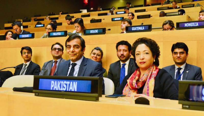 UN elects Pakistan as member of NGO committee
