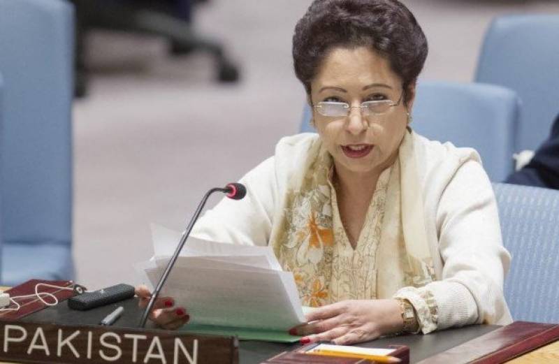 Peace cann’t be restored without resolving Kashmir, Palestine issues: Maleeha