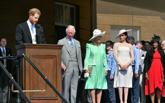 Prince Harry attacked by a bumblebee, forgot speech