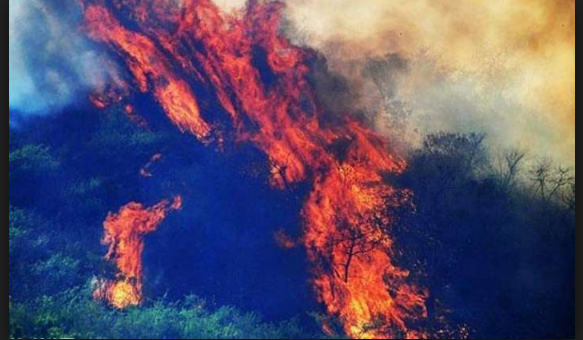 Raging fires continues in Margalla Hills