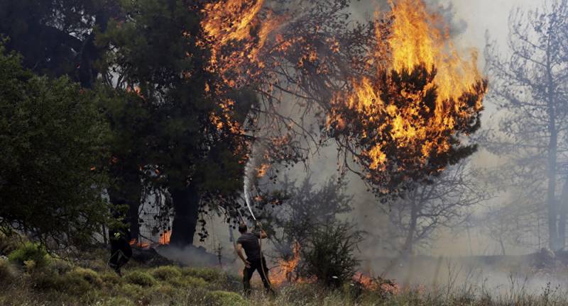 Death toll in Greece forest fires reaches 50 