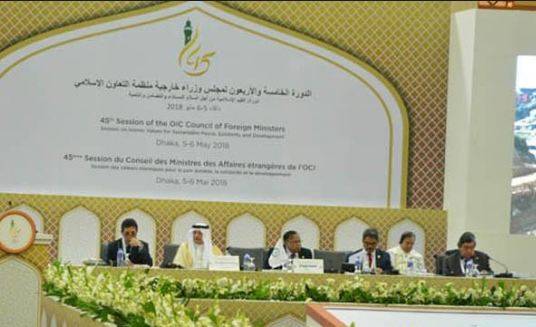 Pakistan elected member of OIC water council for 2 years
