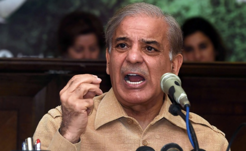 Shehbaz accuses PTI, NAB of forming 'unholy alliance' against opposition leaders