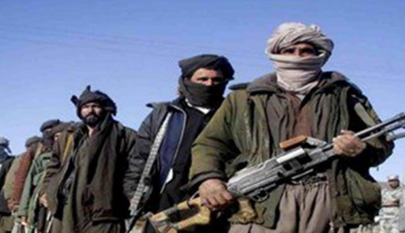 Taliban kill 14 soldiers in western Herat province: Afghan official