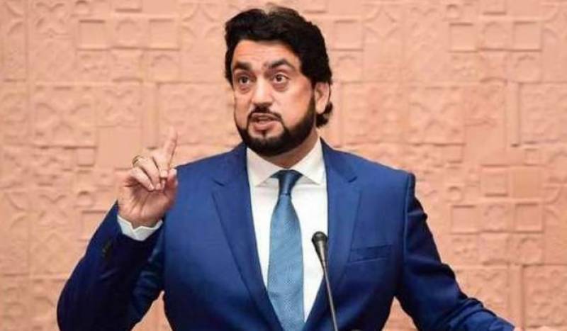 44 people affiliated with banned outfits taken into protective custody: Shehryar