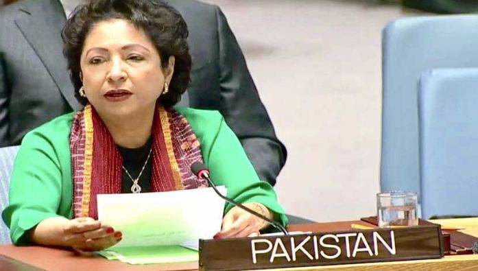 Pakistan calls for global efforts to break terrorism, organized crime nexus