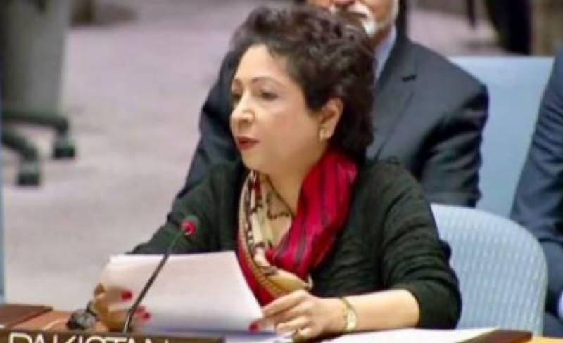 Pakistan reaffirms support to UN's call for probing Indian atrocities in IoK
