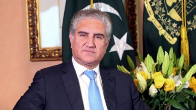 Pakistan committed to develop strong ties with African countries: FM Qureshi