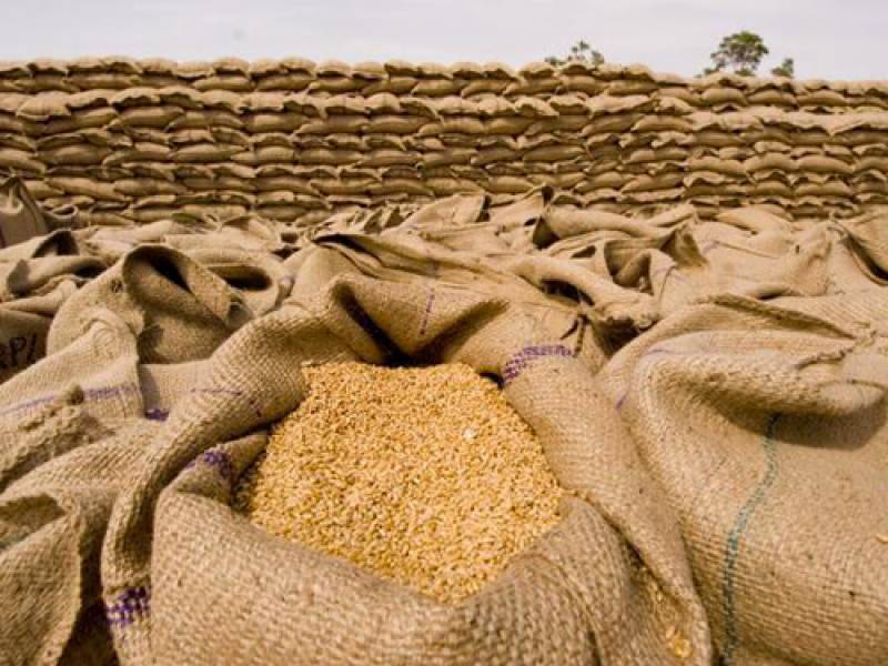 ECC approves import of 0.3m tons of wheat to overcome flour crisis