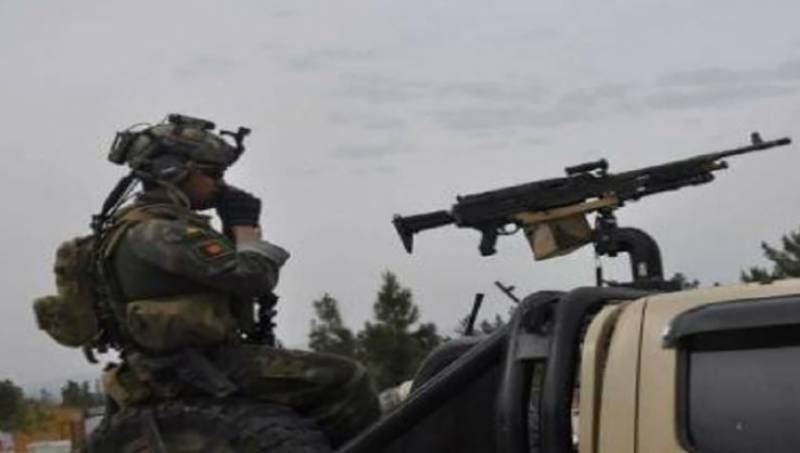 Pentagon downplays new Taliban attacks