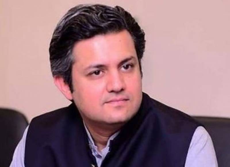 Govt decided to privatise PSM as it became a 'white elephant': Hammad Azhar