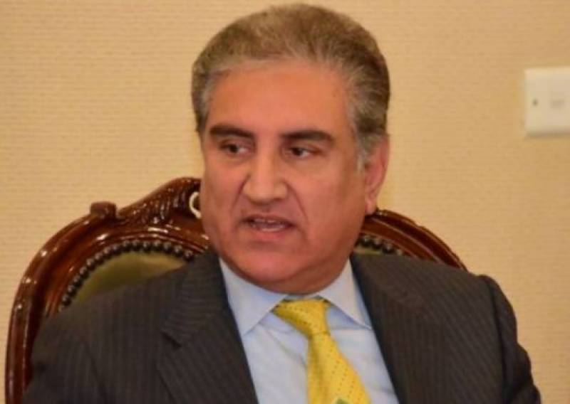 FM Qureshi embarks on two-day visit to Egypt