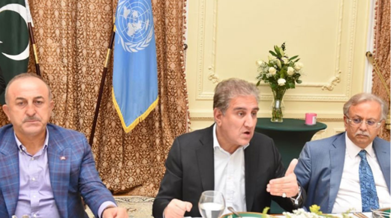 FM Qureshi calls for collective efforts to end human tragedy in Palestine