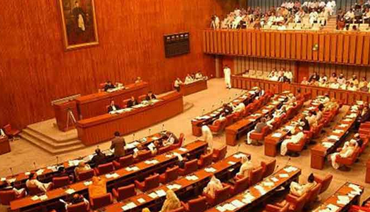 Senate approves journalist protection, NAB bills amid opposition's protest