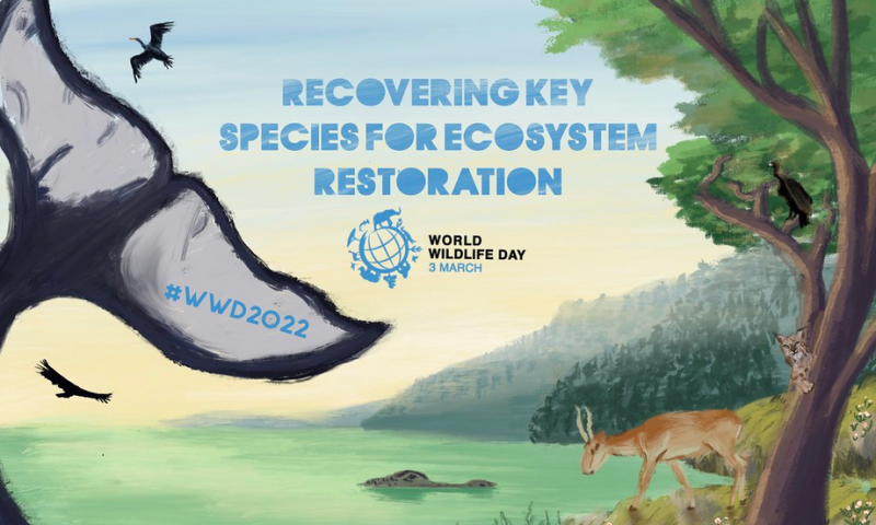 World Wildlife Day 2022 observed 