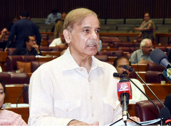 National Assembly will decide when to hold elections, says PM Shehbaz