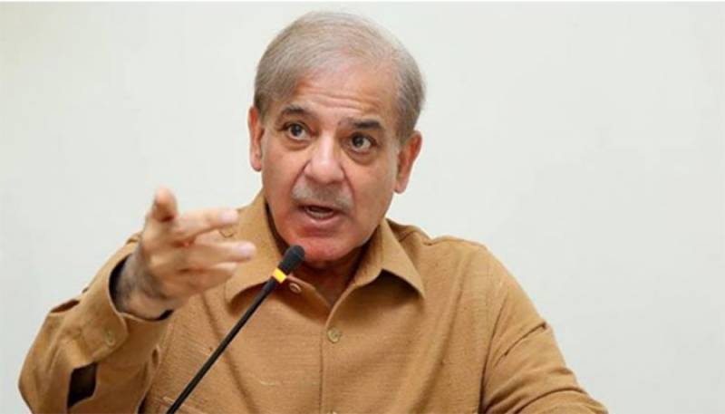 Economic stability is not possible without political stability, says PM Shehbaz