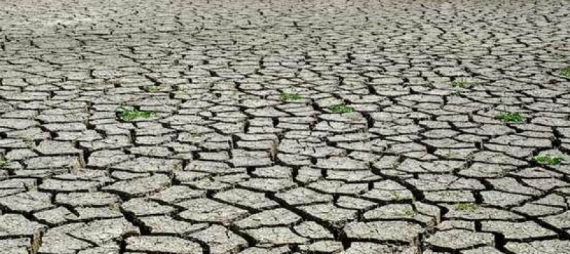 About 23 countries including Pakistan facing drought: report
