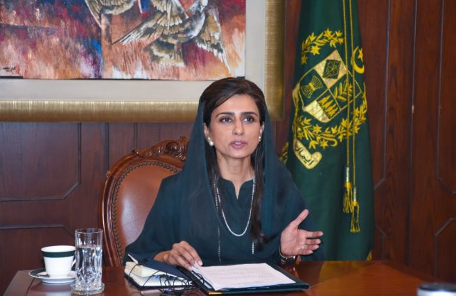 Hina Khar calls for boosting economic cooperation among D-8 nations