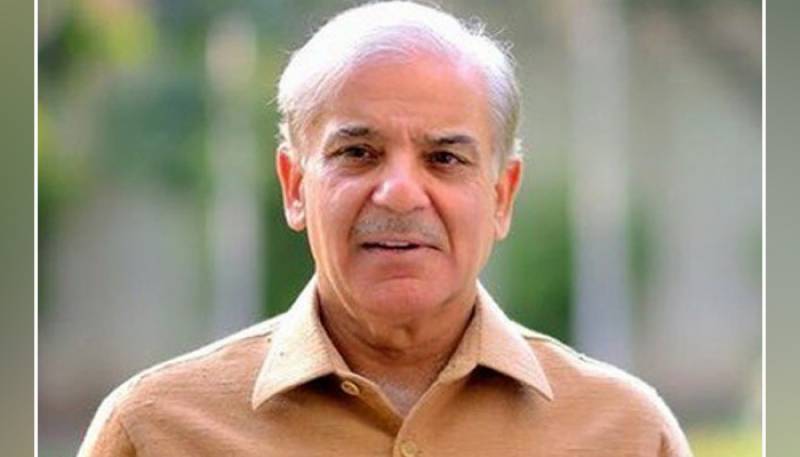 State organs should act within domains stipulated by constitution: PM Shehbaz