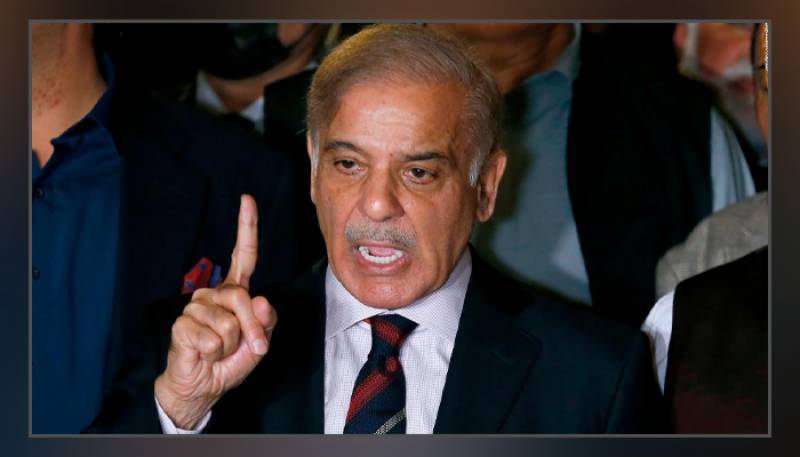 PM Shehbaz slams Imran Khan over 'despicable maligning' of armed forces